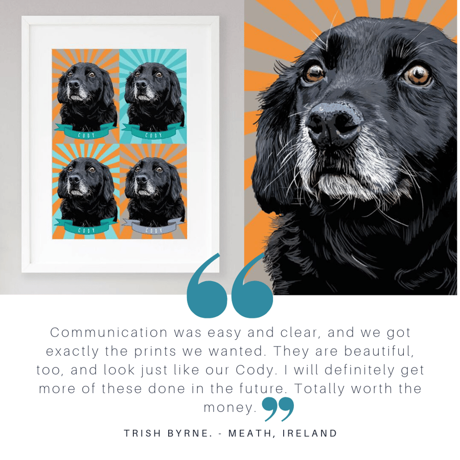 Pet pop art commission - Pet pop art portrait - Bespoke animal pop art portrait