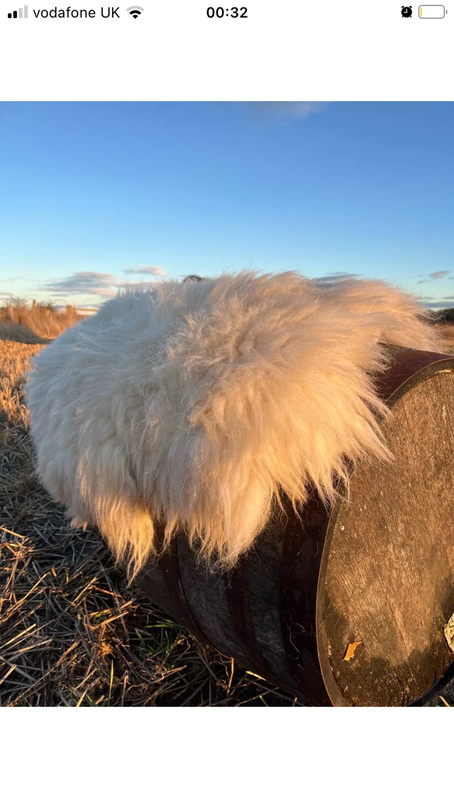 Llyen Sheep Fleece Rug