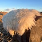 Llyen Sheep Fleece Rug