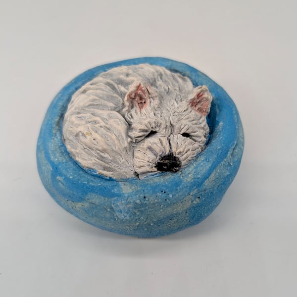 Yorkshire Pudding - West Highland Terrier