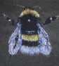 White Tailed Bumblebee Fine Art Giclee Prints - Image 3