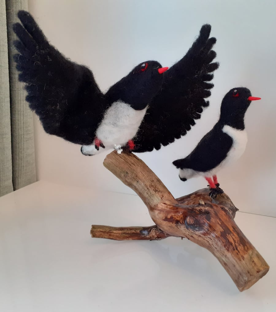 Oystercatchers, needlefelted wool sculpture ooak,collectable 