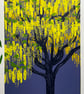 Laburnum Bloom original screen print - perfectly imperfect