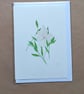 White Periwinkle handmade card & original pencil artwork - Image 2