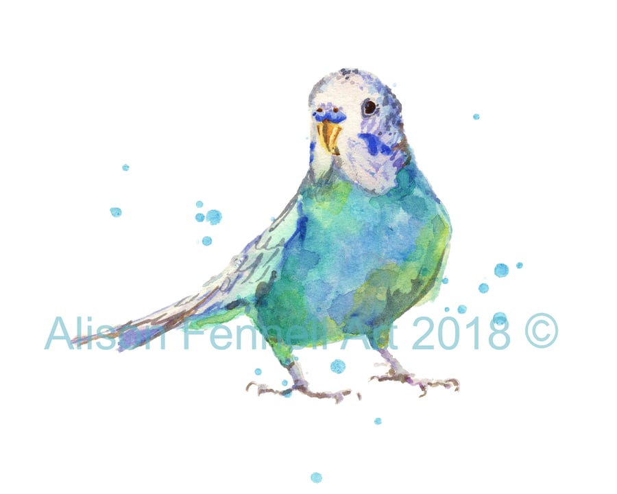 Budgie Watercolour Print