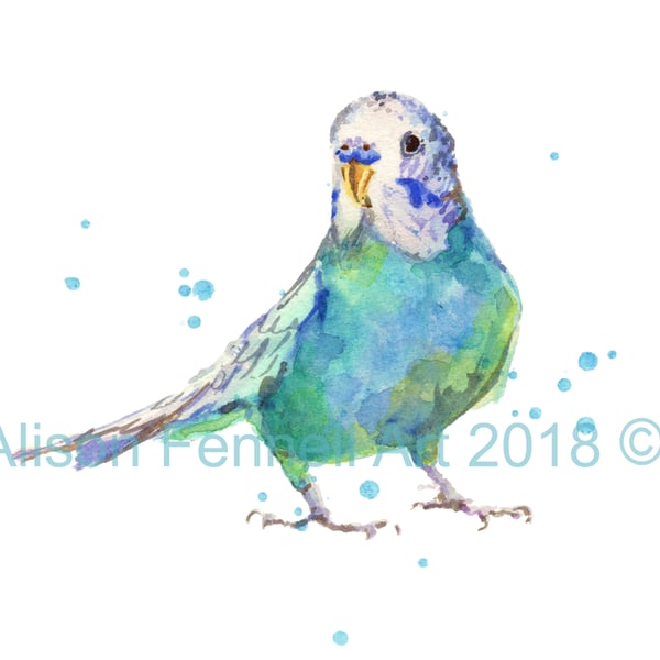 Budgie Watercolour Print