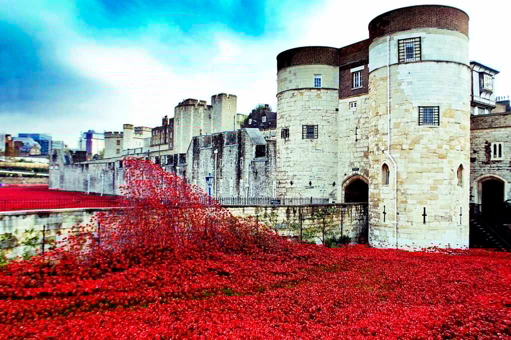 Tower Of London Poppies Red Poppy Photograph Print