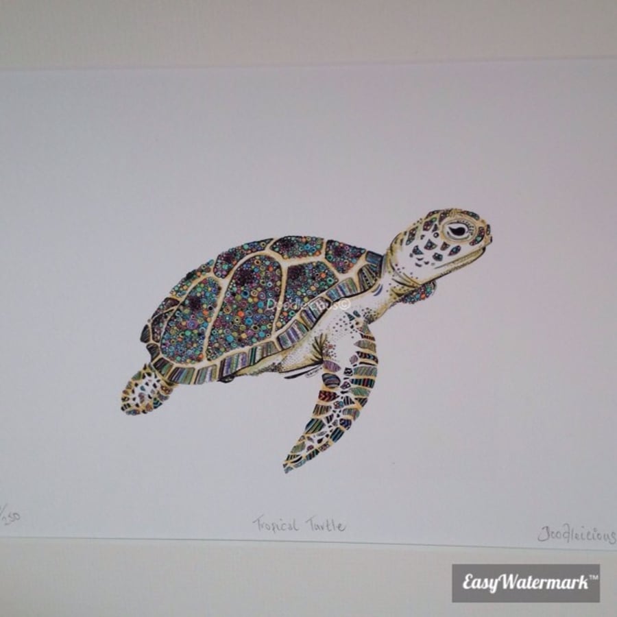 Tropical Turtle a4 mounted print OFFER!!!!