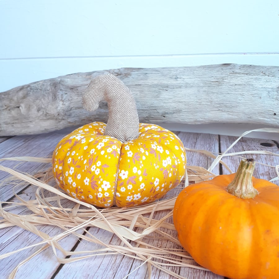 A cute squishy Fabric Pumpkin Decoration