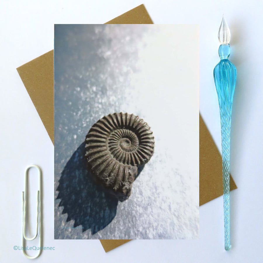 Ammonite blank greeting card notecard fossil spiral photograph cello free