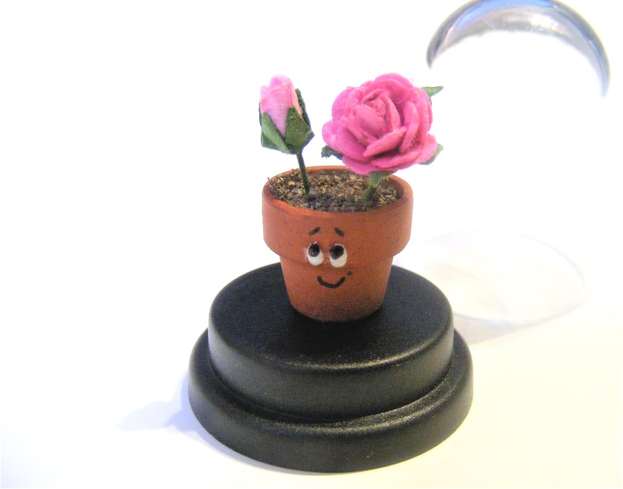 Pet Flower, Miniature Flower, birthday gift, Best friend gift, Gardeners gift