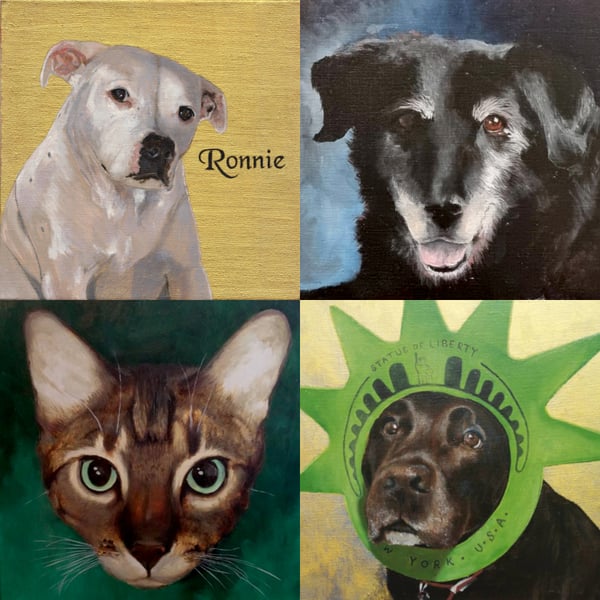 Custom Pet Portrait Original Oil Painting on Canvas Panel 20x20cm DavidNicolArt