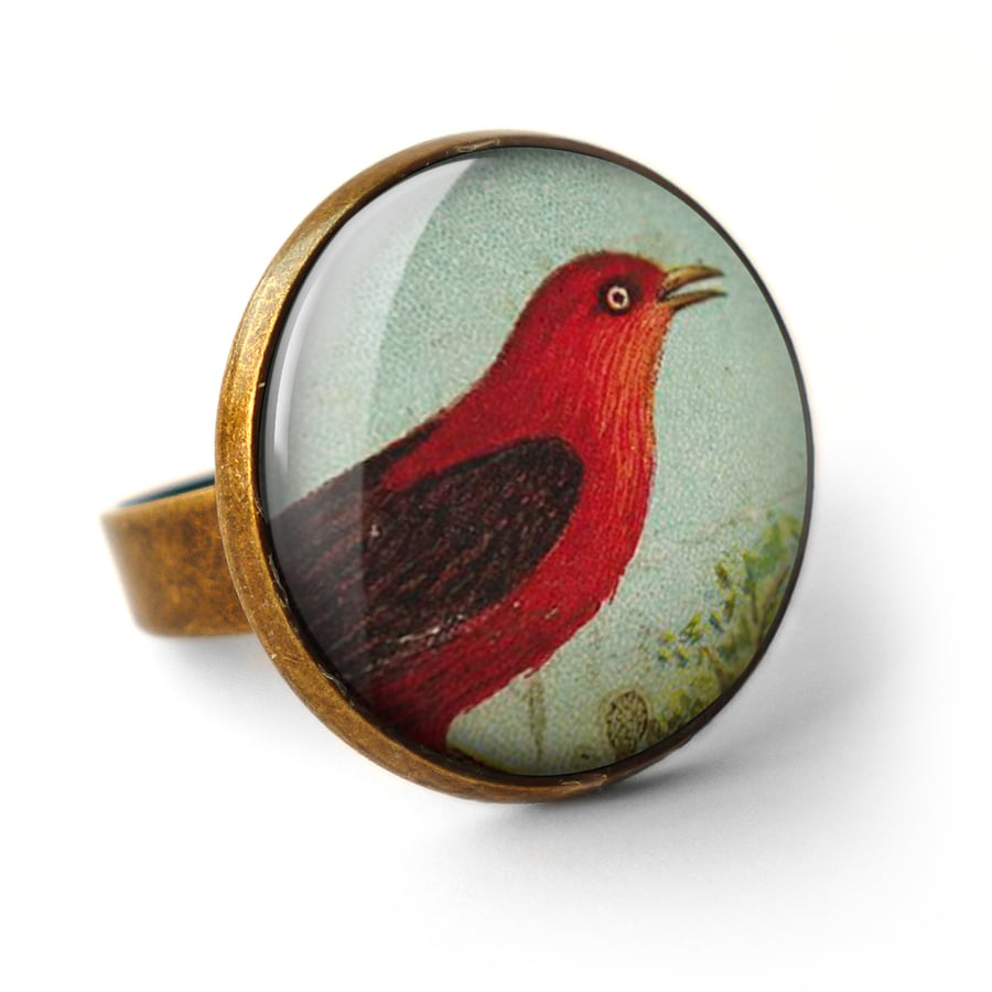 Red Bird Ring (TB06)