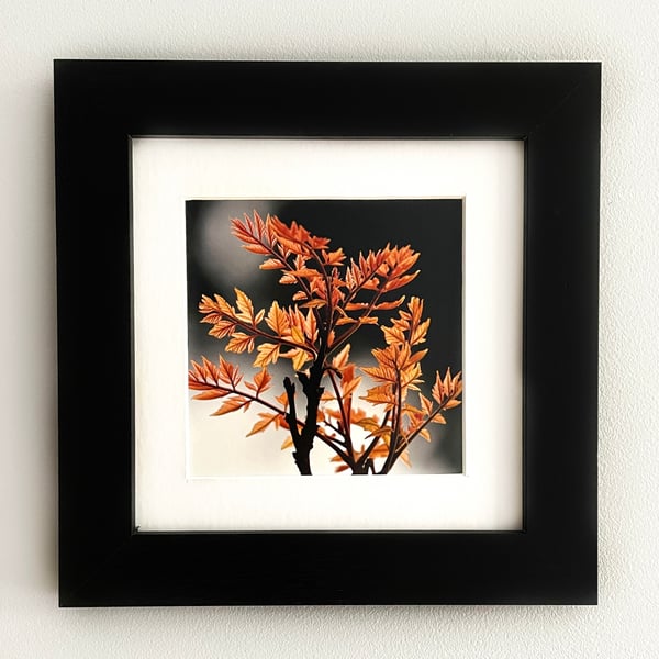 Autumn Leaf Framed Fine Art Print