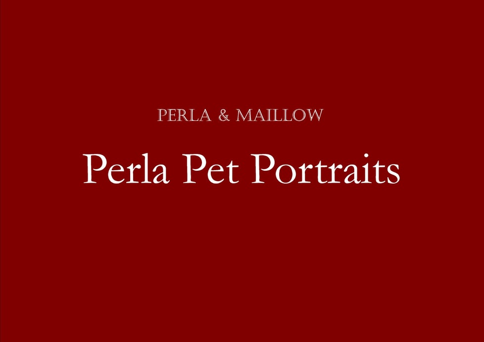 Perla Pet Portraits