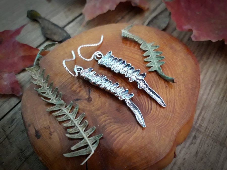 Real Fern Leaves - Silver Earrings 