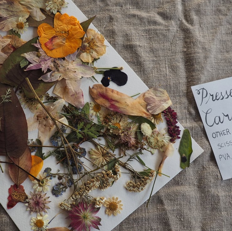 Pressed Flower Card Making Kit Folksy