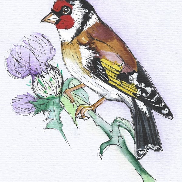 Goldfinch Original Drawing