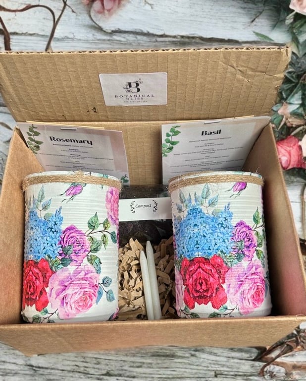 Wisteria rose grow your own herb garden gift set 