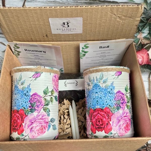 Wisteria rose grow your own herb garden gift set 
