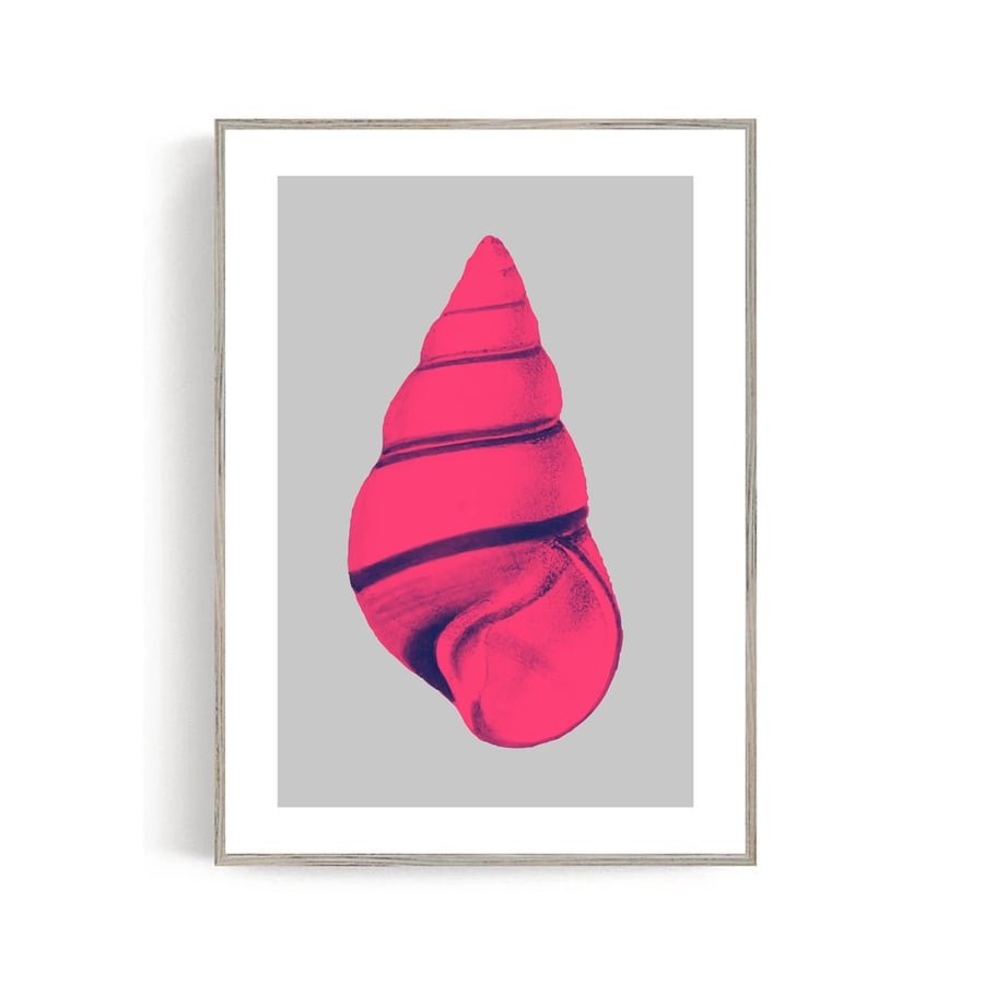 Shell Pop Art Prints, Vintage Retro Wall art