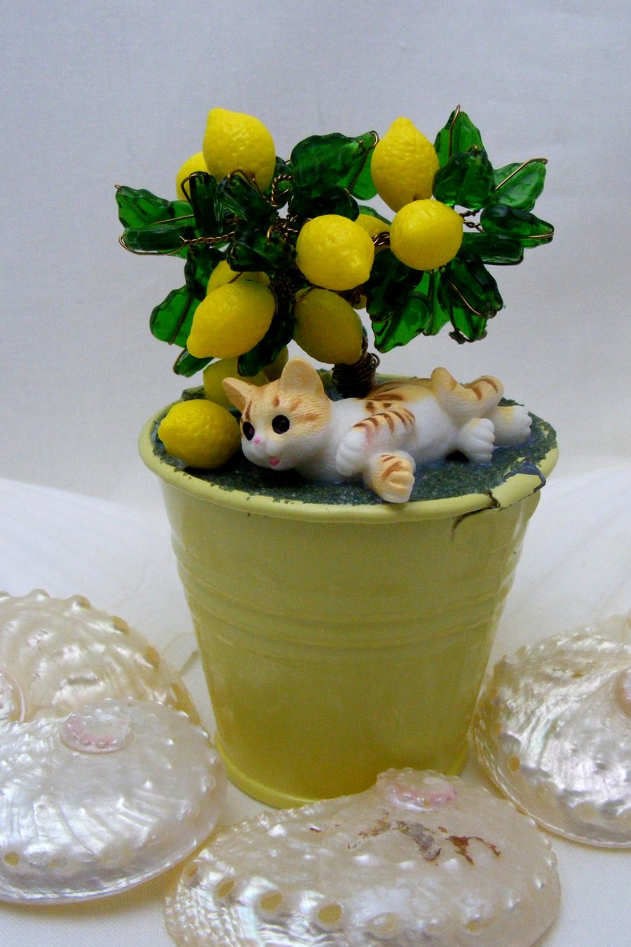 Lemon Fruit Tree with resting Cat