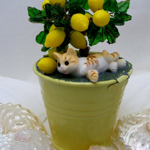 Lemon Fruit Tree with resting Cat