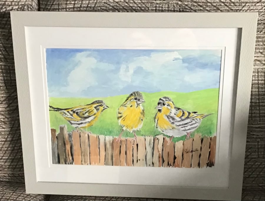 Original Gouache Painting, Wild Life Painting, 3 Little Siskins, 
