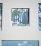 3 Gannets - collage - Image 3