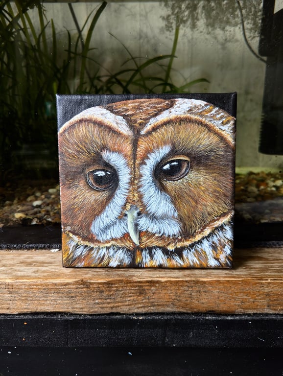 Original Tawny Owl Acrylic Painting 