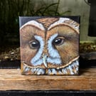 Original Tawny Owl Acrylic Painting 