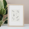 Wildflowers A6 Illustration Print