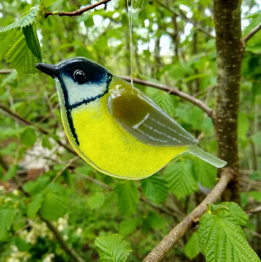 Fused glass great tit