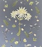 Pressed Flowers, Astrantia Botanical Framed Art - Image 4