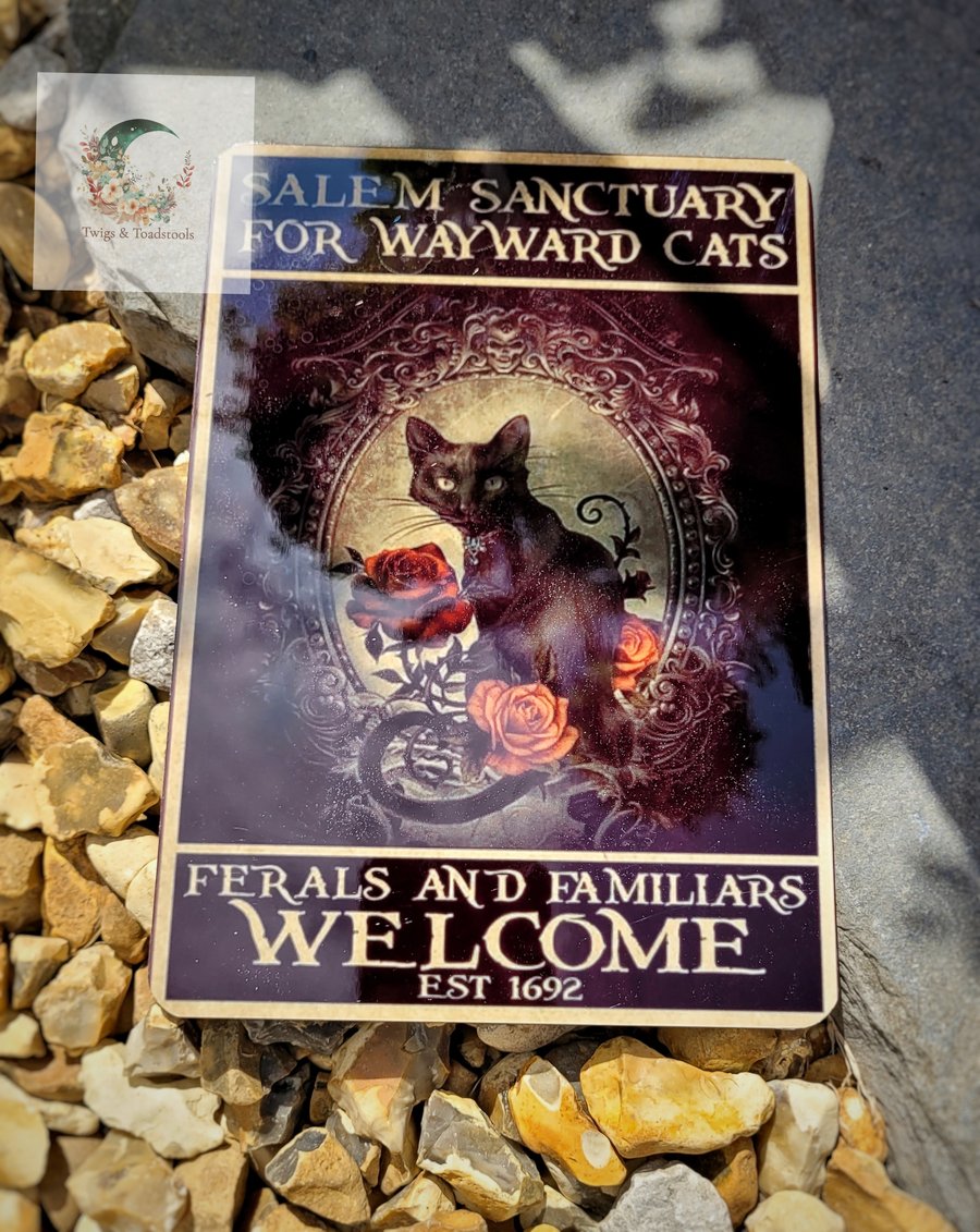 Salem sanctuary welcome sign black cat 