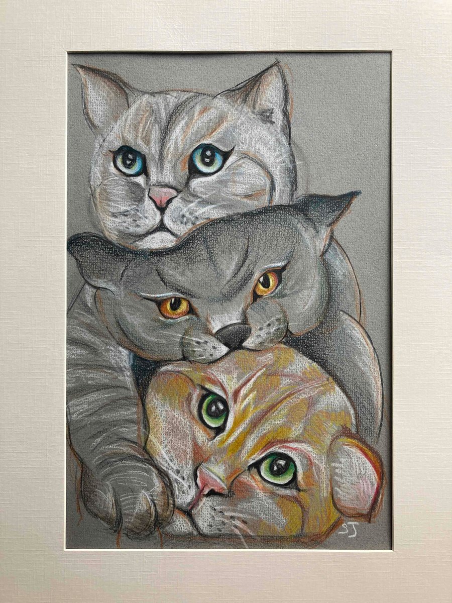 Cat portrait, cute cats, cat art, colour pencil drawing of three cats. 