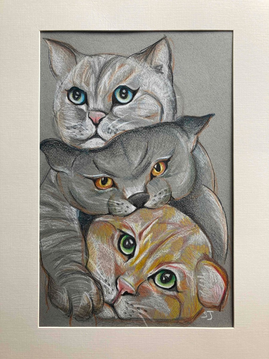 Cat portrait, cute cats, cat art, colour pencil... Folksy