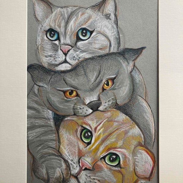 Cat portrait, cute cats, cat art, colour pencil drawing of three cats. 