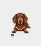 Funny Vinyl Sticker For Adults - Cute Dachshund Dog 