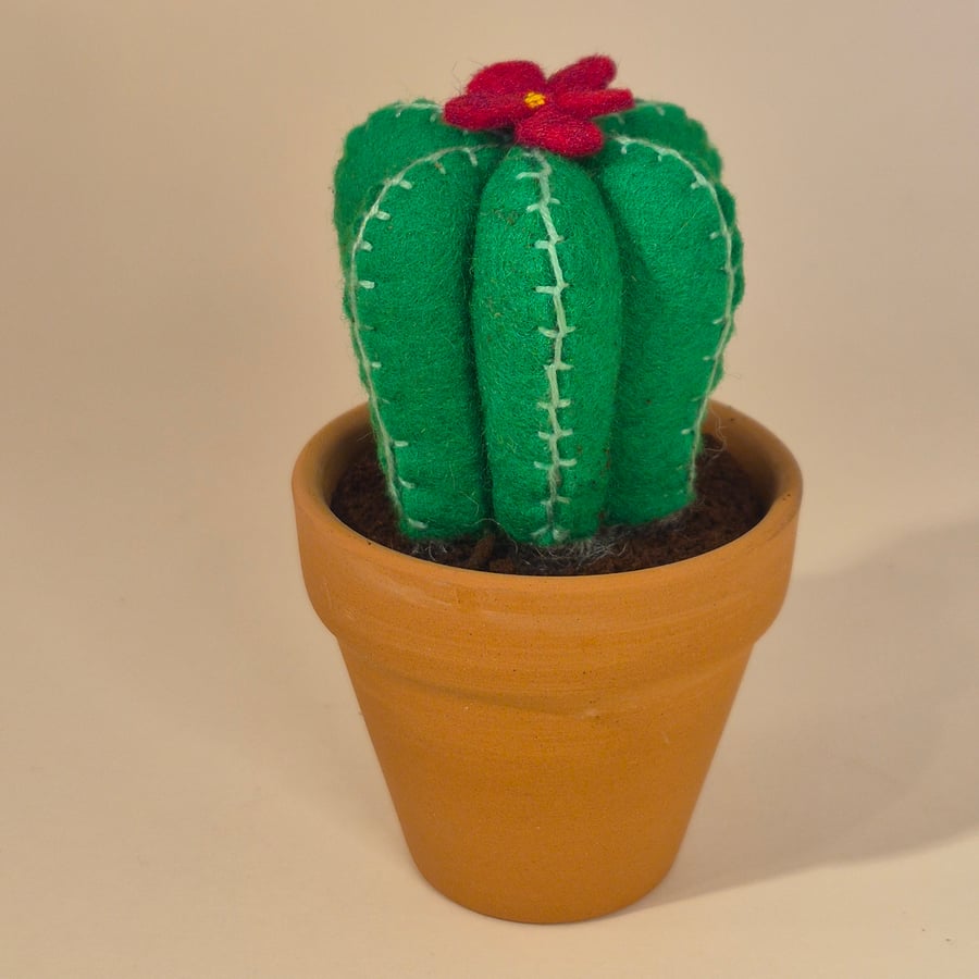 Felt cactus with flower in a terracotta pot