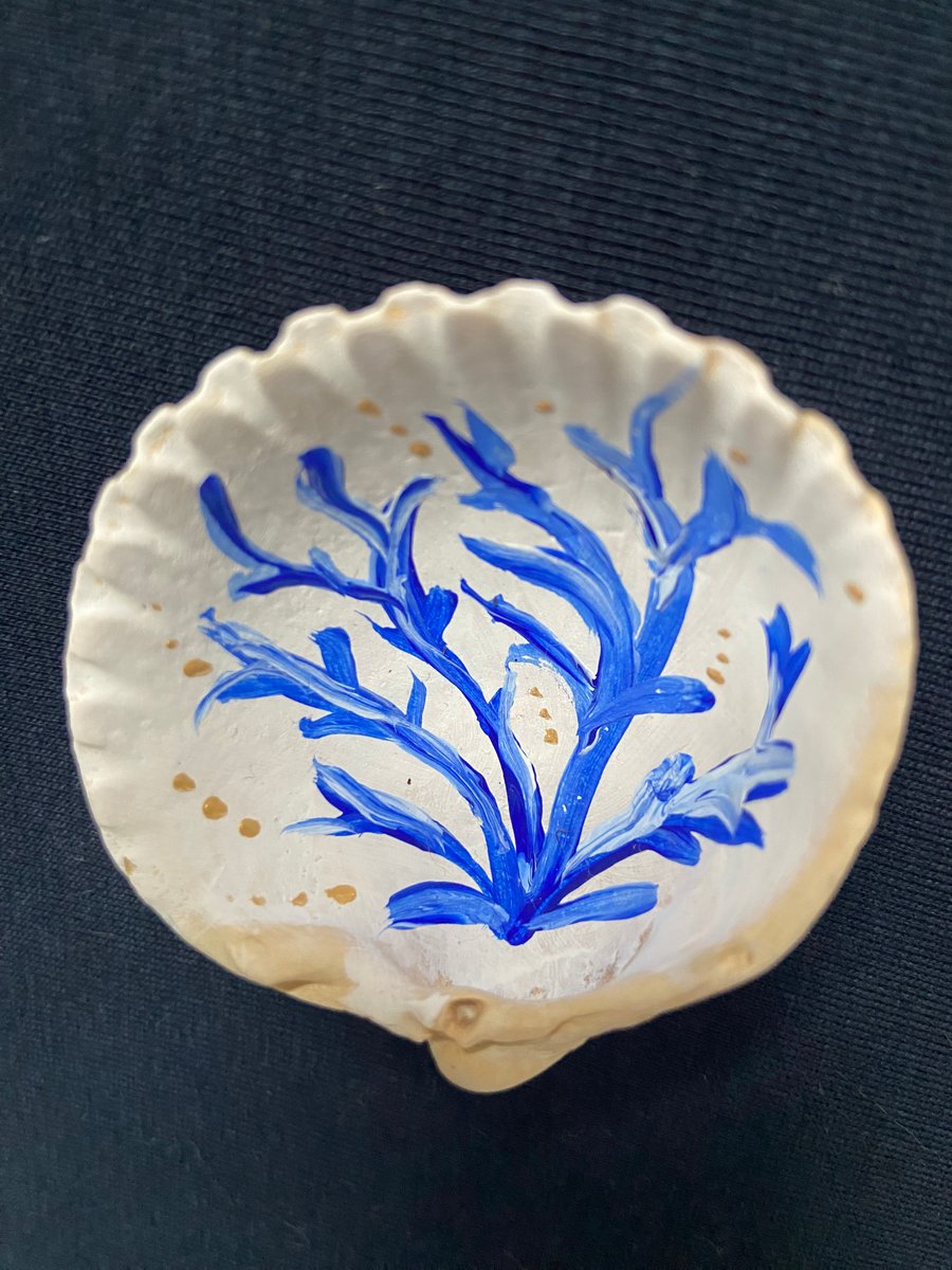 Hand painted clam shell from an Argyll beach. 