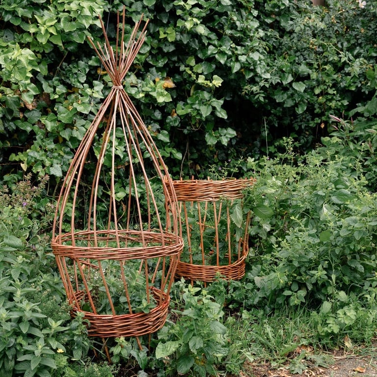 Willow Plant Support Weaving Kit, Natural Garden Craft Project