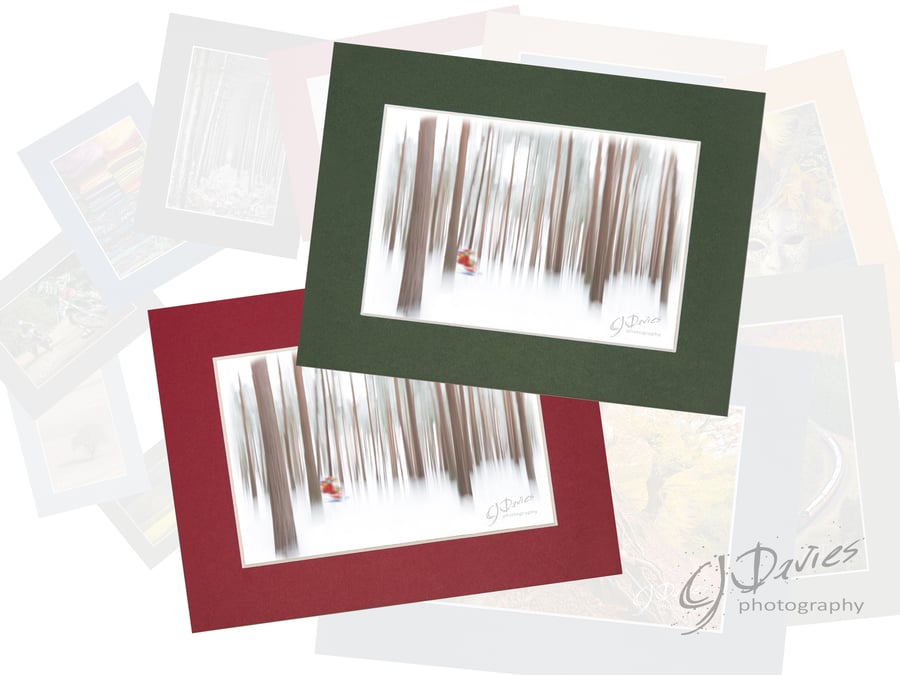 CJ235 - Santa in the woods