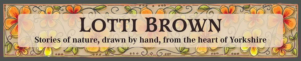 Lotti Brown Designs