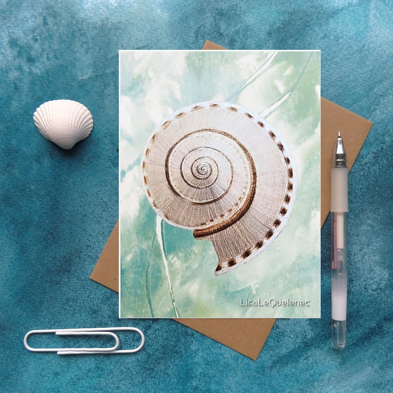 Seashell art card sundial shell artist card cellophane free