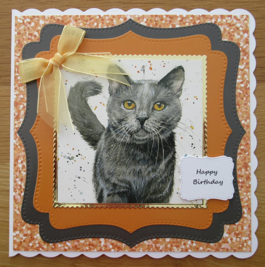 Grey Cat - 7x7" Birthday Card