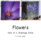 Flowers - Pack of 6 Greetings Cards - Assorted Designs 