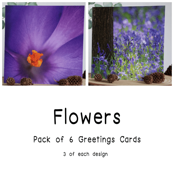 Flowers - Pack of 6 Greetings Cards - Assorted Designs 