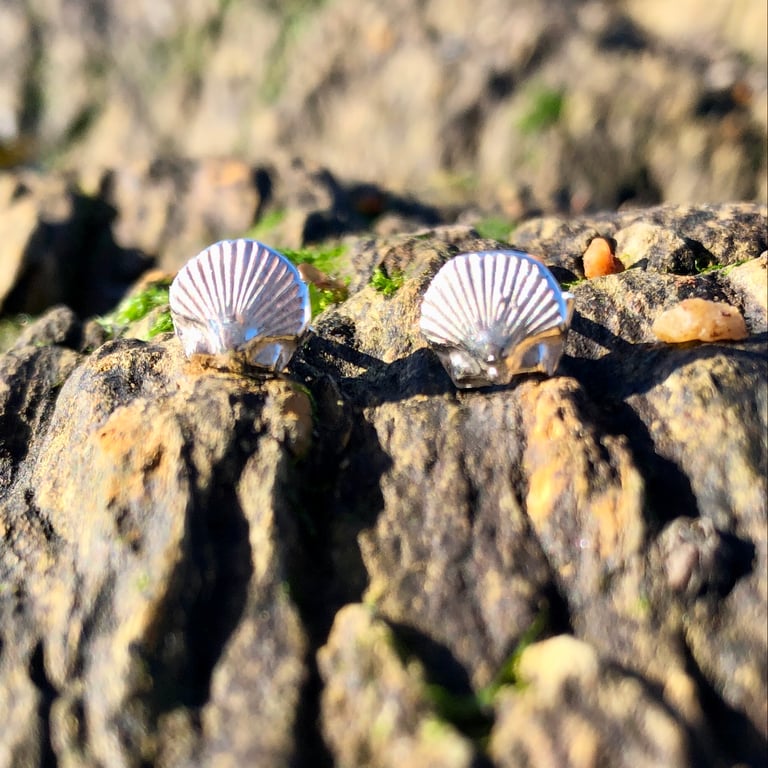 Simple Sterling Silver Scallop Shell Stud Earrings - 1269