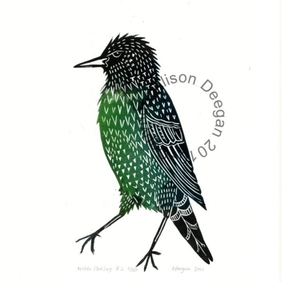 Original lino cut print "Mister Starling" 